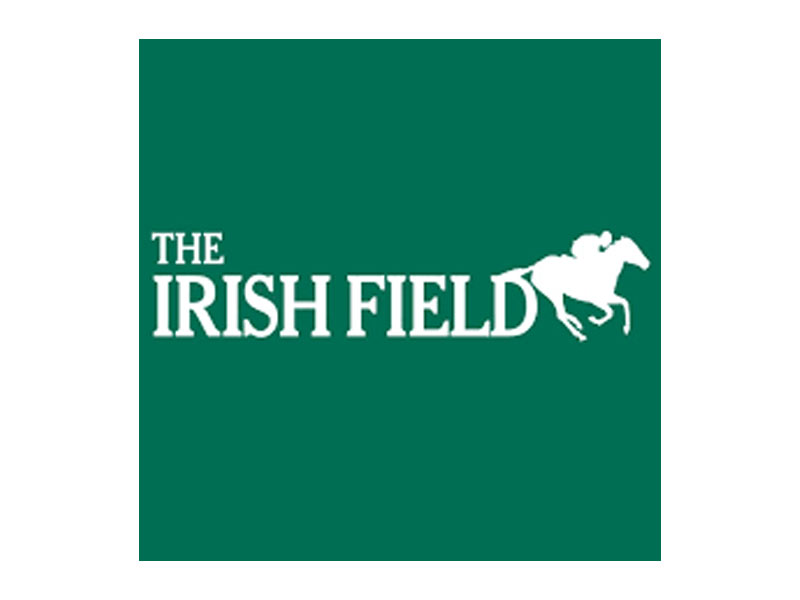 the-irish-field